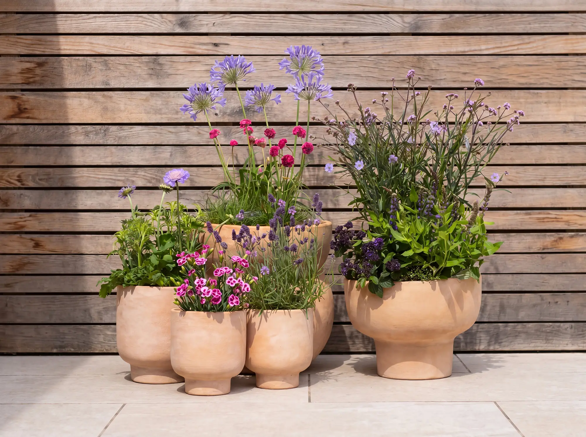 Breathe Life Into Your Home