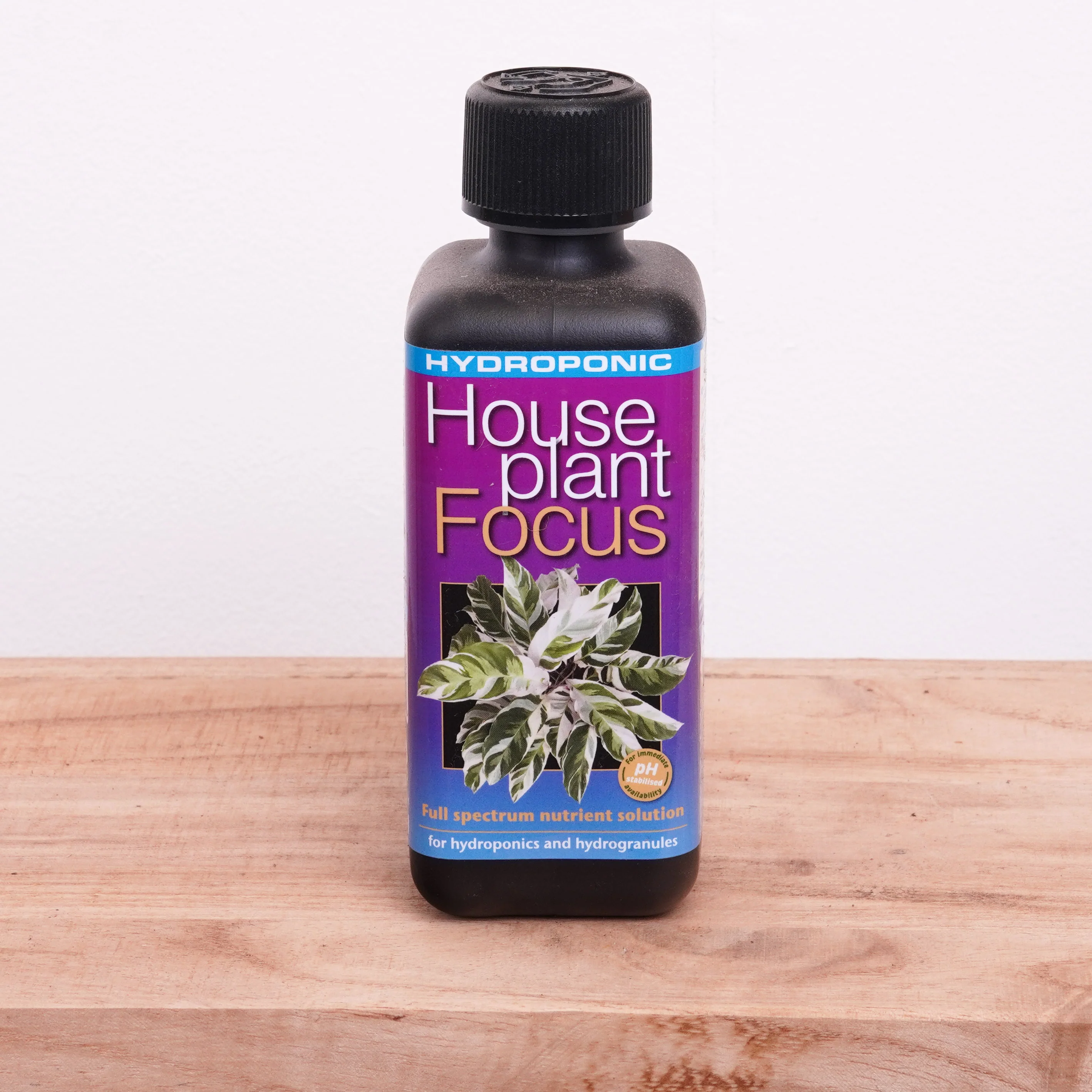 Hydroponic Houseplant Focus - Plant Food