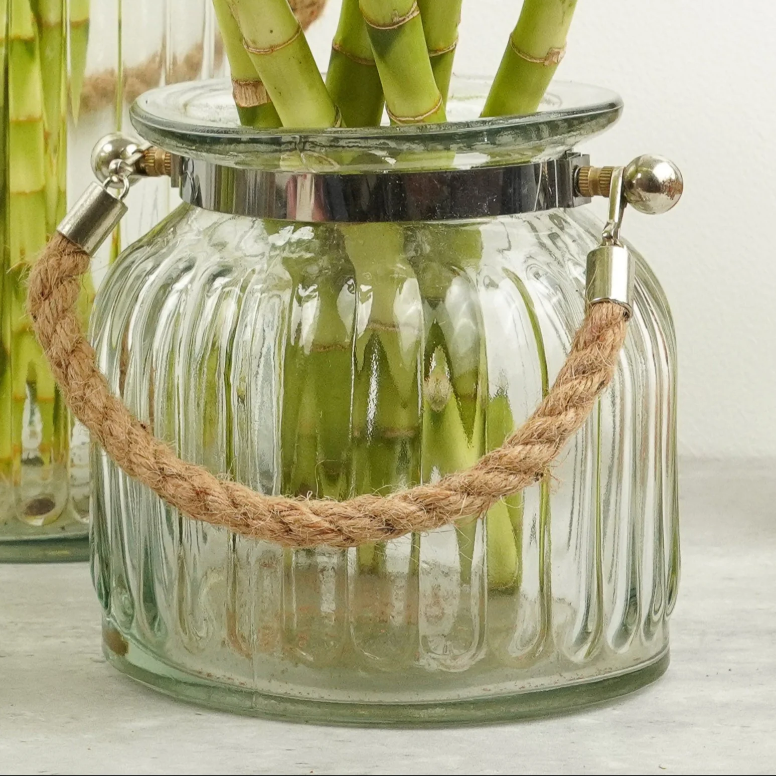 Imperfect! Glass Ripple Terrarium Small | Rope Handle