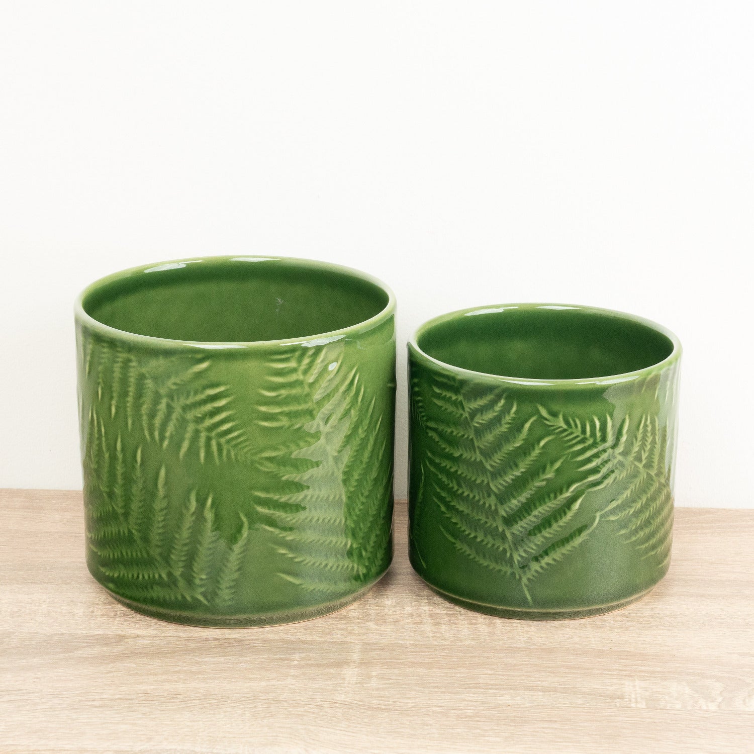 Imperfect! Orla Fern Pot | Green