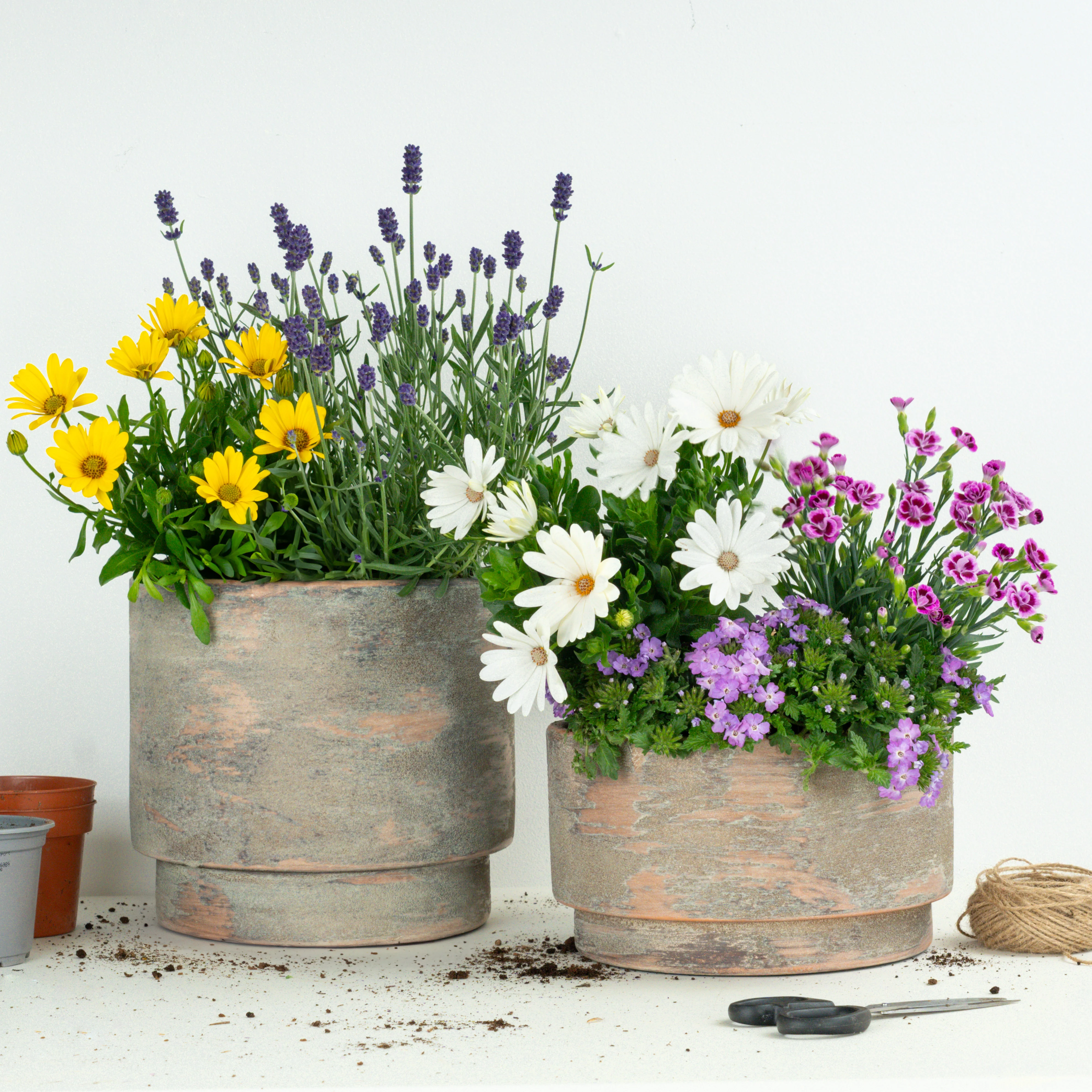 Low Maintenance Patio | Garden Bundle