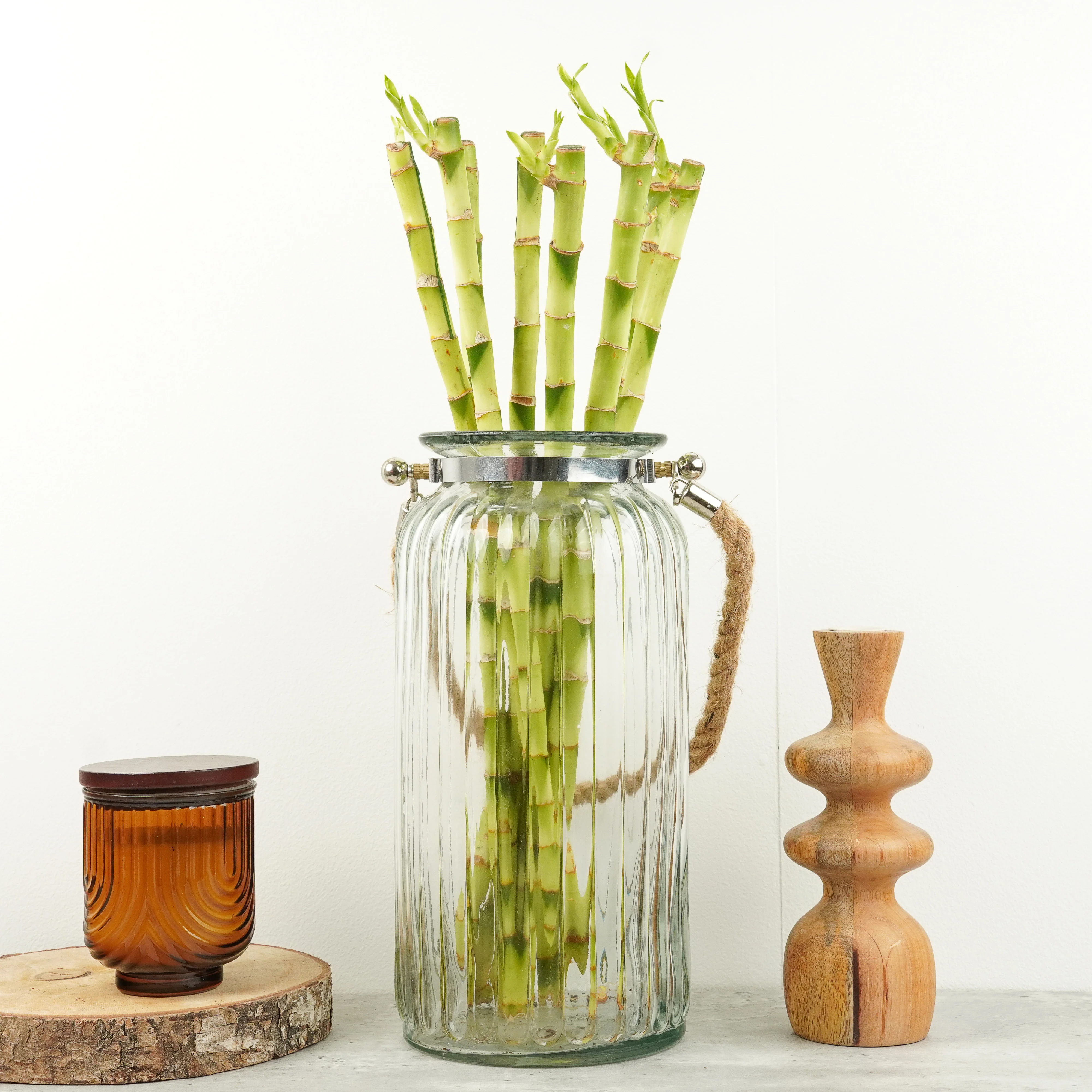 Lucky Bamboo - Image 7