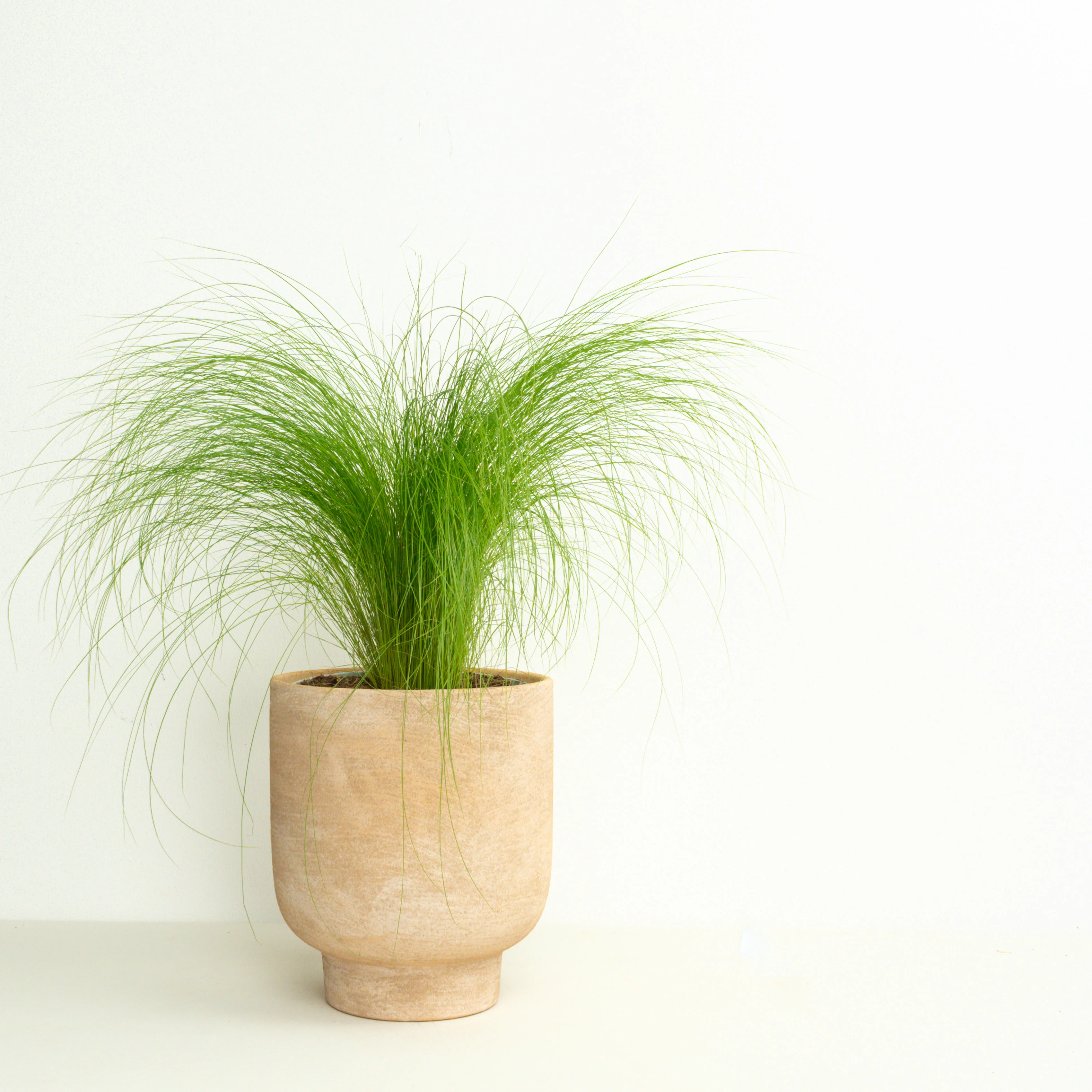Neutral Boho | Garden Bundle - Image 4