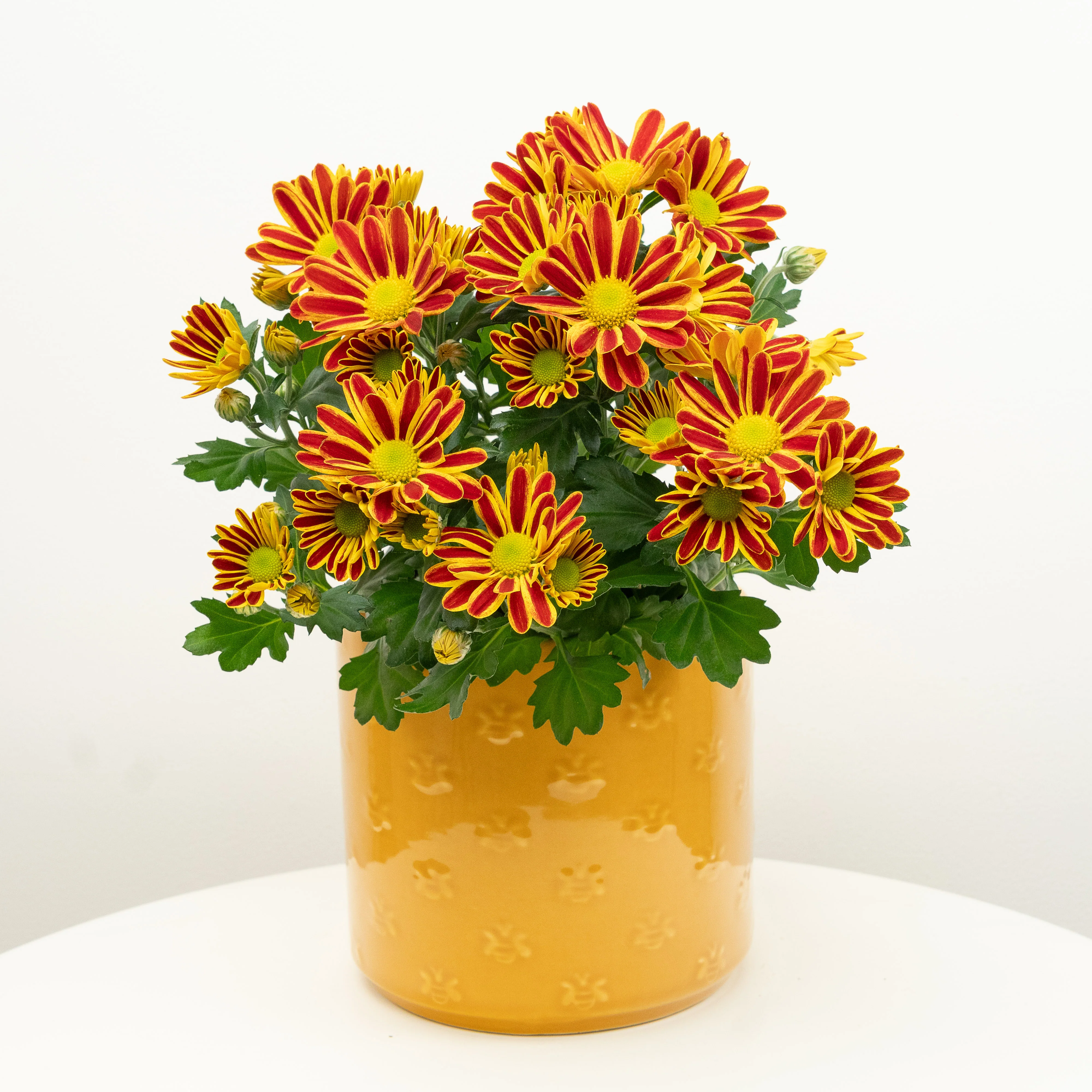 Mum | Amaretto