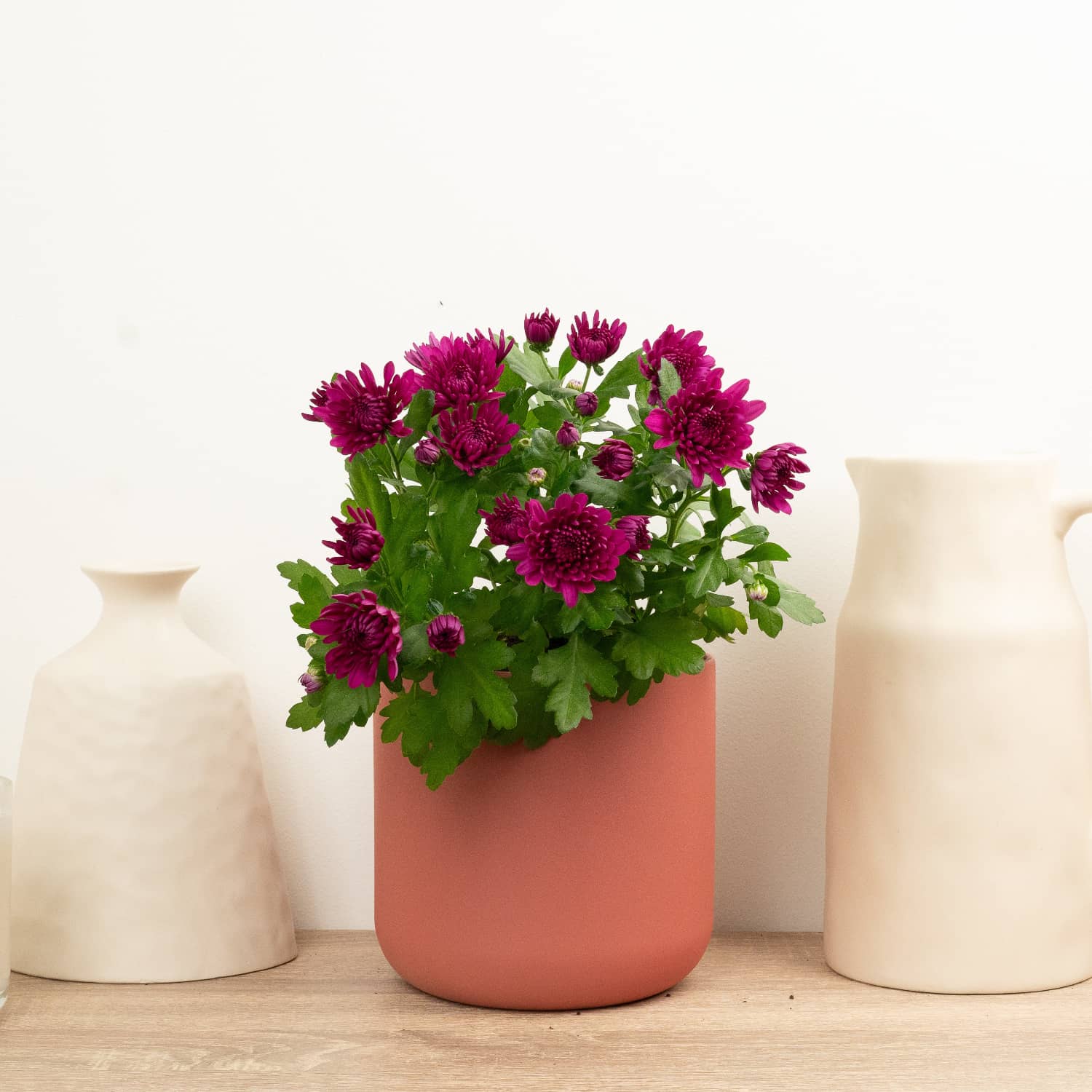 Mum | Double Plum