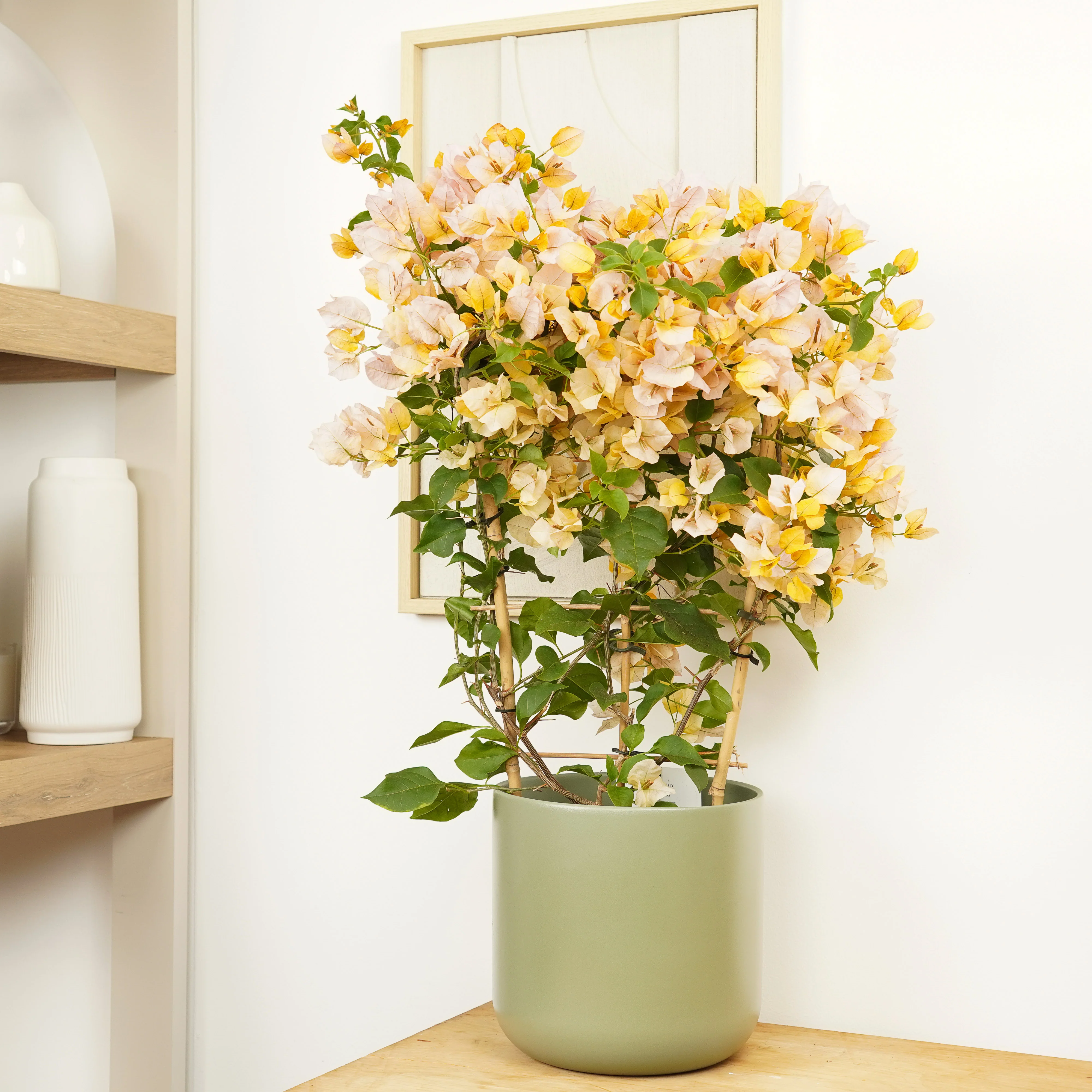 Paper Flower - Image 3