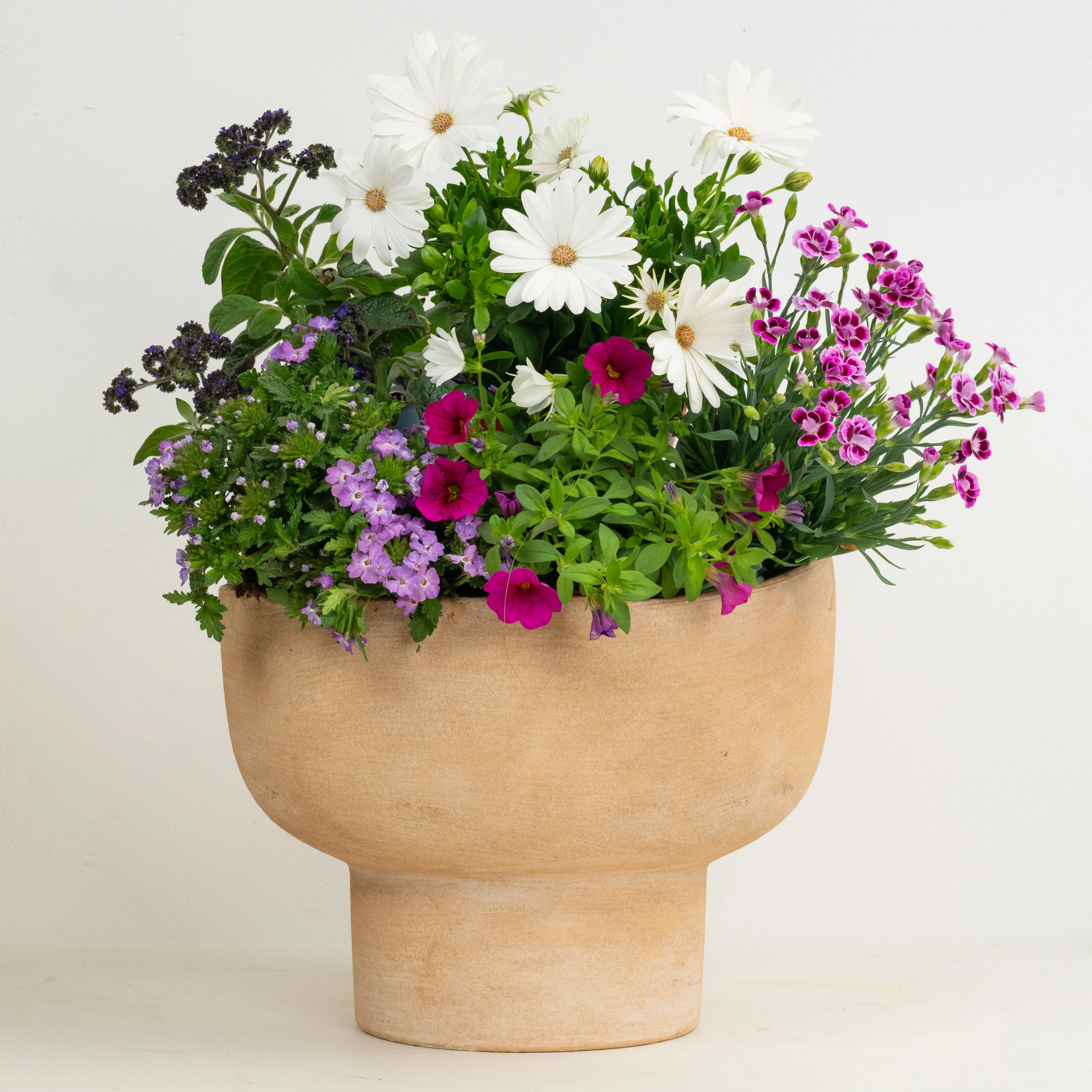 Romantic Patio | Garden Bundle