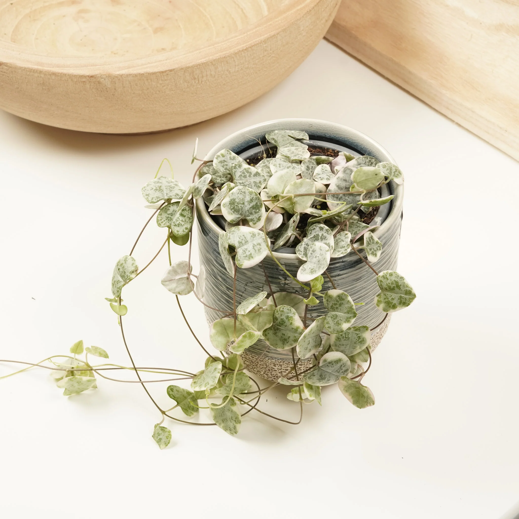 String Of Hearts | Variegated Marlies - Image 8