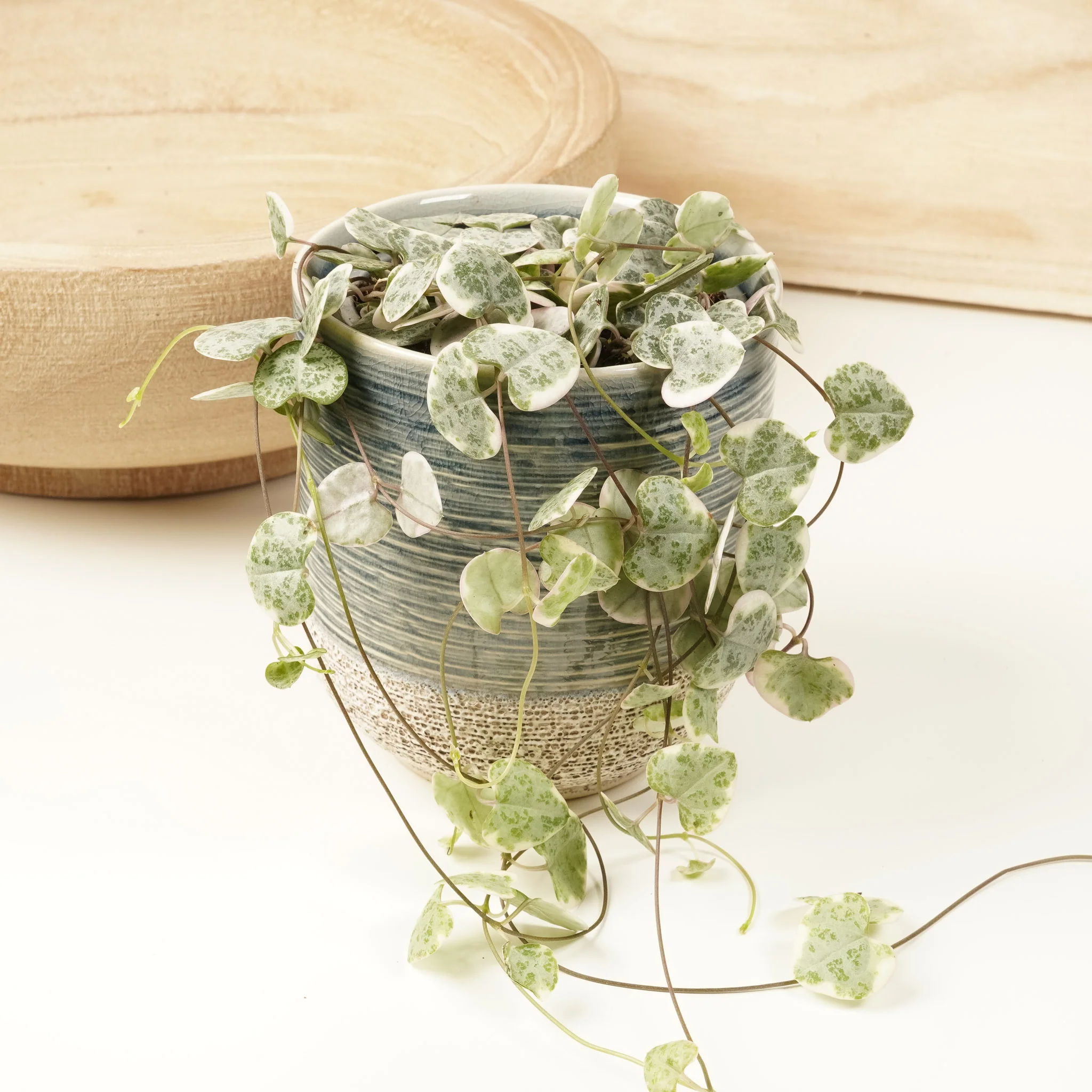 String Of Hearts | Variegated Marlies - Image 9